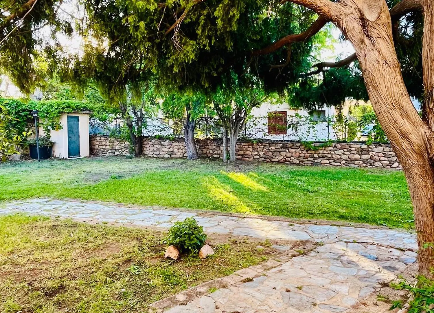 Apartment Casa Vacanze La Cinta San Teodoro